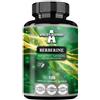 APOLLO'S HEGEMONY Estratto di Berberina HCL 98% - Alta forza 333 mg per capsula - 120 capsule vegane - 4 mesi di fornitura - Estratto di radice di bacche per la salute dell'apparato digerente - da Apollo's Hegemony