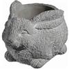 GROWSCAPE Classic Home and Garden Cement Buddies - Fioriera per interni ed esterni, con foro di drenaggio, coniglio, grigio, piccola, 15,2 cm