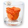 Premium-rose.com Box Tondo con Rosa Rossa stabilizzata Profumata, Box Trasparente da 9cm con Rosa Arancione Vera Eterna con Base Effetto Acqua, Dura più di 5 Anni | Fatto in Italia (Arancione 1046)