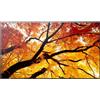 Sharp MultiSync M752 Display professionale grande formato da 75 pollici