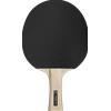 Sport 100 *ITTF racchetta interno