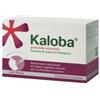 DR.WILLMAR SCHWABE GMBH&CO.KG Kaloba Granulato Per Soluzione Orale 21 Bustine 800 Mg