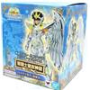 Bandai Saint Seiya PEGASUS GOD CLOTH Hades Chap Cavalieri Zodiaco Bandai Tamashii Namco