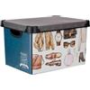 Kipit Scatola, Multicolore, Standard