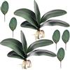 HinyoCo Foglia Orchidea Artificiale 26 cm Radici Dall'Aspetto Reale Piante Un Contatto Nel Lattice Verde Faux Leaf Arrangement (7)