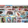 Prophila Collection Motivazioni 50 Diversi Raptors Francobolli (Francobolli per i Collezionisti) Uccelli
