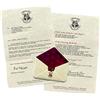 Trend Setters Harry Potter - Lettera di accettazione di Hogwarts, 8,9 x 8,9 cm, magnete funzionale in resina con lettera 12,7 x 20,3 cm della professoressa McGranittà | Prodotto con licenza ufficiale