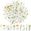 Abeillo 120 adesivi trasparenti per scrapbooking, con fiori in PET e fiori, per scrapbook, album fotografici, computer portatili, artigianato (margherite)