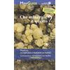 LIBRERIA GEOGRAFICA Che minerale è questo?