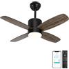 Ohniyou Ventilatore da Soffitto da 38'' con Luce e Telecomando/APP, Piccoli Ventilatori da Soffitto con Luce Dimmerabile, Reversibile, Motore DC Silenzioso per Interni ed Esterni (Nero)