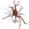 Natunae - Legno Red Spider King Wood, Radice Decorativa per Acquario, Terrario, Paludario M 30-40 cm