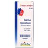 BOIRON Aesculus hipp. tm 60ml - BOIRON - 909466082