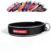 EzyDog Colletto Neo Classic