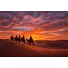 Yunlus Puzzle per adulti, 1000 pezzi, impossibile, difficile, stimolante, per adulti, adolescenti, cammelli del deserto, paesaggio, tramonto, 1000 pezzi, 28 x 20 pollici