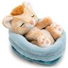 NICI Morbido leone di peluche addormentato in un cestino, per coccole e giochi, per bambini e adulti, fantastica idea regalo, 12 cm, marrone - 62873