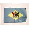 AZ FLAG Bandiera Delaware 45x30 cm - Bandierina Stato Americano - Usa - Stati Uniti 30x45 cm Cordicelle