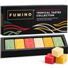 Fumino Multipack di Lussuosa Cera Fresca Profumata da Sciogliere Wax Melt Tart Fumino Pacchetto Gusto Tropicale 12 Cere da Fondere 6 Fragranze dalla Profumazione Intensa con Cera d'Api e Olio di Cocco