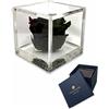 Passionefiori.it S 1087 Luxury Rose Stabilizzate Vere in Cubo più Spesso Luxury 8 e Scatola Regalo Lusso, Cubo Rosa stabilizzata Nera, Rosa eterna