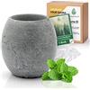 CozyNature uovo per sauna in pietra ollare naturale | ciotola per aromi resistente al calore per infusioni rilassanti | 100% fatto a mano | Diffusore di Aromi in Pietra ollare per la Sauna Forno