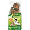 MultiFit Snack per Roditori Taler Senza Cereali 100G CAROTE