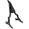 HDBUBALUS Schienale Sissy Bar per Moto, Rimovibile, Schienale Posteriore, Cuscino per Passeggero, Schienale Posteriore per Harley Breakout Fat Boy 2013-2023, Nero