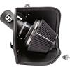 Ramair Filters PRORAM - Kit di aspirazione filtro aria a induzione per F56 Mini One Cooper S JCW 2018, colore: nero