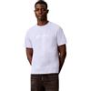 Calvin Klein SS 30S WHSL CK NYC Graphic Tee LV14RE831G Maglietta Grafica da Uomo, Marrone (Marrone Chiaro), XL, Marrone (Rich Brown), XL