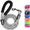 petlux Guinzaglio per Cani, Nylon Elastico e Riflettente Resistente 1,5mt Impugnatura Imbottita Antiscivolo Addestramento per Cani (Grigio)