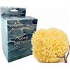 pasiphae natural skin care & sea sponges Spugna marina gialla morbida naturale di luffa, spugna a nido d'ape su corda per bagno e doccia, 100% naturale, biologica, per uomini, donne, adulti, esfoliante, scatola regalo ecologica (confezione