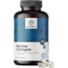 HealthyWorld® Collagene marino - Alta concentrazione - 1170 mg nella dose giornaliera - 120 capsule - Collagene di Pesce Idrolizzato di Tipo I e III - scorta per 2 mesi - Per Capelli, Unghie e Pelle