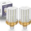 MAILIHAO Lampadina LED E27 30W,6000K Bianco Freddo 3500LM (Equivalenti a 250W Lampada Alogena) Alta luminosità e Risparmio Energetico Non Dimmerabile, 2 Pezzi