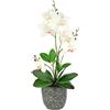 Flair Flower Fiore artificiale farfalla orchidea con foglie e radici aeree in vaso in ceramica fiore artificiale orchidea artificiale Phalaenopsis con vaso pianta artificiale per matrimonio decorazione fiore di