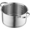 FLORINA Pentola in Acciaio Inossidabile (3,1 l) 20 cm I Pentola con Coperchio in Vetro I Con Misurino e Manici Ribattuti I Fondo a 3 Strati I Adatta alla Lavastoviglie I Induzione, Gas ed Elettrico