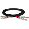 Hosa HPR-010X2, Pro Stereo Interconnect, Dual REAN 1/4 in TS to RCA, 10 ft