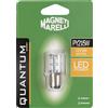 Magneti Marelli Quantum Energy Magneti Marelli PY21/5W lampadina auto singola LED SMD 12V/5W attacco BAY15d