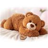 Mewaii Peluche Orso Marrone Ponderato, Peso 2,3 kg, Caldo E Freddo