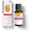 Pranarom Pranarôm - Oli Essenziali per Diffusione - Spirito di Festa - Diffusione Sinergia - Oli Essenziali Bio di Arancio Dolce e Zenzero - Atmosfera Festiva e Calda - 30 Ml