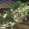 Hellum Luci fiabesche a LED da esterno bianco freddo con 80 LED, illuminate 7,9 m, Luci fiabesche con spina e timer per esterni, cavo verde, bianco freddo <59 lm 151916