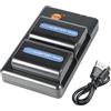 DSTE NP-FM55H FM50 (2 pezzi) Batteria di ricambio ricaricabile e doppio caricatore compatibile con NP-FM30 NP-FM51 CCD-TR108,TR208,TRV116,TRV118,TRV126, npf caricabatterie