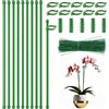 XIABYAYU Supporto Per Piante Stabilizzare, 10 Pezzi 30cm Bastoncini Per Orchidee, 10 Piante Clip, 5 Tubi Estensibili, 50 Filo Da Giardino Verde, Tutor Orchidee Supporti Pomodori, Supporto Fiori, Fagioli