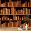 ReWallpaper Carta da Parati Libreria Finta 3d Carta Adesiva per Mobili Vintage Marrone Pellicola Adesivo per Rivestimento Porte Fantasia Biblioteca 44.5cm×3m Carta da Parati Effetto Libreria