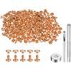 QUARKZMAN 100 Set Rivetti in Pelle 6 x 6mm Elementi Fissaggio Borchie Rivetto a Doppio Cappuccio Metallo 3Pz Montaggio Chicago per Borse Scarpe Pelle Riparazioni, Tono Oro Chiaro