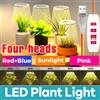 NONE LED Pianta Coltiva La Luce USB 5V Spettro Completo Idroponico Dimmerabile Timer Auto On/Off Fiori di Cactus Lampada per Coltivazione di Crescita Succulente