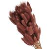 PATIKIL 15.7in Coda di Coniglio Fiori Secchi, 80pz Erba di Pampas Decorativa Coda di Coniglio Erba di Pampas Naturale in Bulk Fluffy Faux Erba di Pampas Essiccata , Marrone