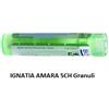 Boiron Ignatia Amara Boi 5ch 80gr 4g