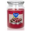 BISPOL Premium Line Chocolate - Cherry 500 ml