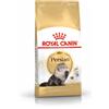Royal Canin cat adult persian 2 kg