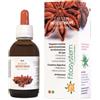 FITOSYSTEM DI C.G. system intestinum 50 ml