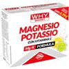 WHYSPORT MAGNESIO POTASSIO 10 BUSTE 100 G