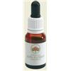 BUSH BIOTHERAPIES PTY LTD Dagger Hakea Australian Gocce 15 Ml